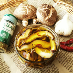 椎茸/オレガノ/オリーブオイル オレガノで香りをつけた、椎茸のオリーブオ…