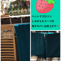 椅子カバー 今日はゆったり出来てますが薬のおかげか目…