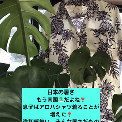 暑い夏にはアロハシャツ 日本は🇯🇵暑い暑い😵💦😵💦🥵
今年は息子…(1枚目)