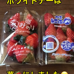苺🍓/ホワイトデー カードのポイントがかなり貯まったので発券…