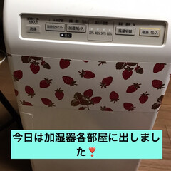 乾燥/除湿機/加湿器 朝、夜ホットカーペットかエアコン暖房つけ…