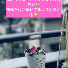 缶鉢 朝からスマホ📱のいらない写真消してたんだ…