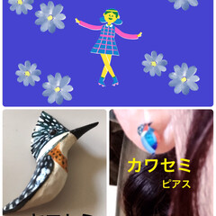 ヤマセミ/カワセミ/小鳥のブローチ、ピアス 今日は晴れていますが風が強い、昼風呂入っ…(1枚目)