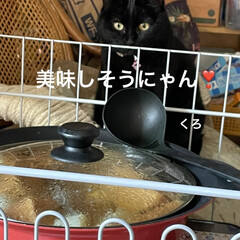にこ/くろ/黒猫/めん/猫/お昼ご飯 こんにちはです。今日はお家でまったり🏠
…(2枚目)