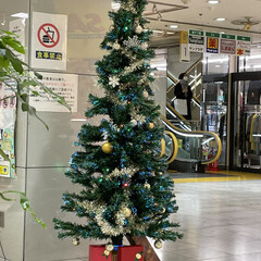 クリスマスツリー/めん/猫/くろ/にこ/黒猫 こんにちはです。
今朝は朝イチで隣の駅の…(5枚目)