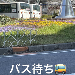 購入品/セリア/ファミリーマート/お昼ご飯 電車降りるまでは良かったけどちょうどお昼…