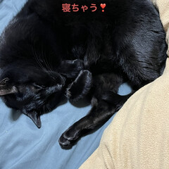 妄想/にこ/黒猫 ただ今帰り道のおかあたん。
スマホの写真…(2枚目)