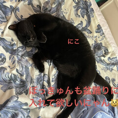 にこ/黒猫/空 おはようございます☀
昨日は父のところへ…(5枚目)