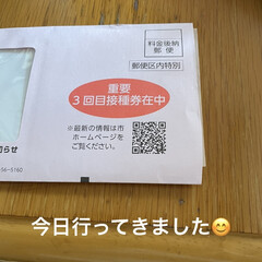 晩ご飯/ワクチン接種/接種券 1回目2回目は娘の会社の職域接種だったの…