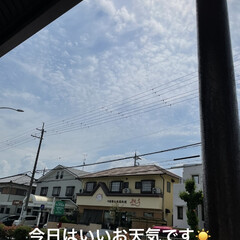 お出かけ日和/晩ご飯/めん/猫/くろ/黒猫/... こんばんはです。今日は暑かった💦そして出…