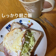 しまむら/つつじ/購入品/お昼ご飯/朝ご飯/セリア 今日は2週に一度の通院日。旦那さんは夜勤…(2枚目)