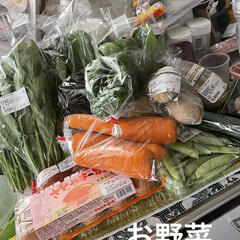 花/空/購入品/お昼ご飯/新鮮野菜/お出かけ日和 晩ご飯は焼き肉と決まってるので朝から巨大…(8枚目)