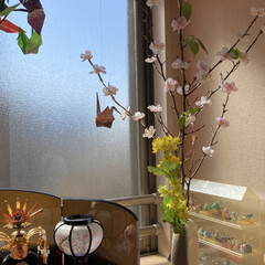 フェイクグリーン ドウダンツツジ 単品花材　H115 | PRIMA(人工観葉、フェイクグリーン)を使ったクチコミ「お雛様を早めに飾り桜生けておりましたが、…」(4枚目)