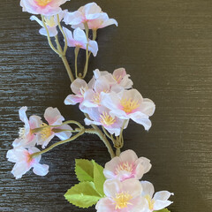 フェイクグリーン ドウダンツツジ 単品花材　H115 | PRIMA(人工観葉、フェイクグリーン)を使ったクチコミ「お雛様を早めに飾り桜生けておりましたが、…」(1枚目)