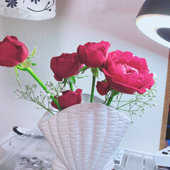 プレゼント/ヴィンテージレット薔薇/フォローありがとうございます/いつもいいねありがとうございます/リビング/観葉植物 |ｮ&#39;ω&#39;〃)おはようございます♪

昨…(4枚目)
