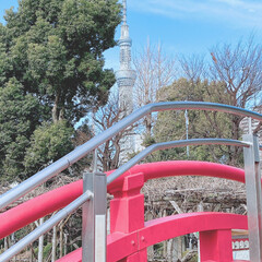 コラボ/神社/スカイツリー/植物/緑のある暮らし/いつもいいねありがとうございます/... |ョ'ω'〃)おはようございます♪
昨日…
