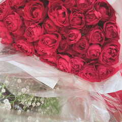 プレゼント/ヴィンテージレット薔薇/フォローありがとうございます/いつもいいねありがとうございます/リビング/観葉植物 |ｮ&#39;ω&#39;〃)おはようございます♪

昨…(1枚目)