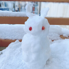 バルコニー/雪かき/雪ウサギ/寒い/雪/朝になってもサラサラ/... |ョ'ω'〃)おはようございます♪
凄い…