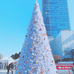 クリスマスツリー/ソラマチ/街ブラ/ジジと街ブラ/どんぐり/ナチュラルキッチン ソラマチに街ブラ
ジジとツリー
可愛い❤…(3枚目)