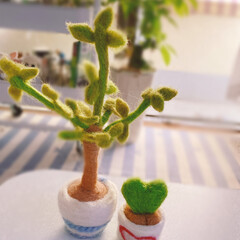 枯れない観葉植物/ツンツン/コツコツ/羊毛フェルト/ラブラブハート/パキラ/... ~~~ヾ(^∇^)おはよー♪さんです
枯…