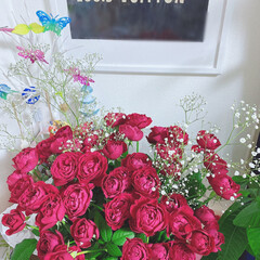 プレゼント/ヴィンテージレット薔薇/フォローありがとうございます/いつもいいねありがとうございます/リビング/観葉植物 |ｮ&#39;ω&#39;〃)おはようございます♪

昨…(3枚目)