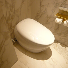 トイレ/憧れ/オシャレ/建築/建築家/インテリア 自動でフタが開くトイレ。
ゴールドの紙巻…(1枚目)