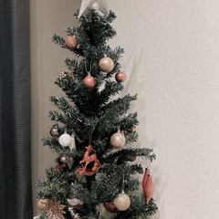 クリスマスツリー/クリスマス/ニトリ購入品/洋室/部屋全体/リビング/... 去年のクリスマスツリー🎅🎄

ニトリでピ…(1枚目)