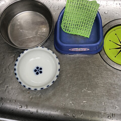ペット用食器洗いメッシュ 　食器のヌメリ取り 　びっくりフレッシュ グリーン BH-24 | サンコー(その他犬用品)を使ったクチコミ「水だけで汚れも、ぬめりも綺麗に取れました…」(1枚目)