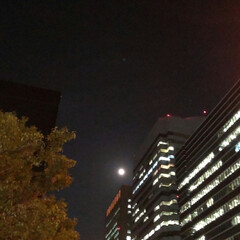 「今晩は🌃
今日のビルと月が綺麗かったので…」(1枚目)