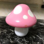 キノコの画像