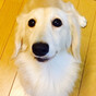 イヴママ💕の画像