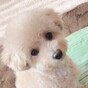 ❤︎RIE❤︎の画像