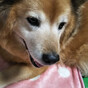 えみちぃの画像