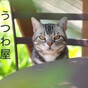 収穫日和の画像