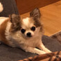 Sorachwa358の画像