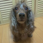 mmy28の画像