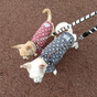 yucchiʕ•ٹ•ʔの画像