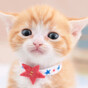 もっちー!の画像
