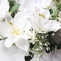 fleur amiの画像