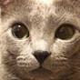 みほの画像
