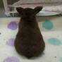 たかこの画像