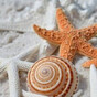 🐬m🐚の画像