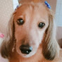 RONの画像