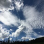 みの画像